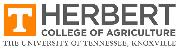 The University of Tennessee Logo